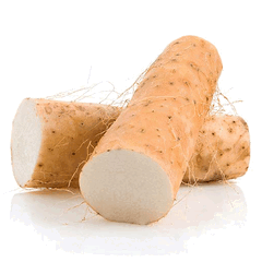Chinese yam