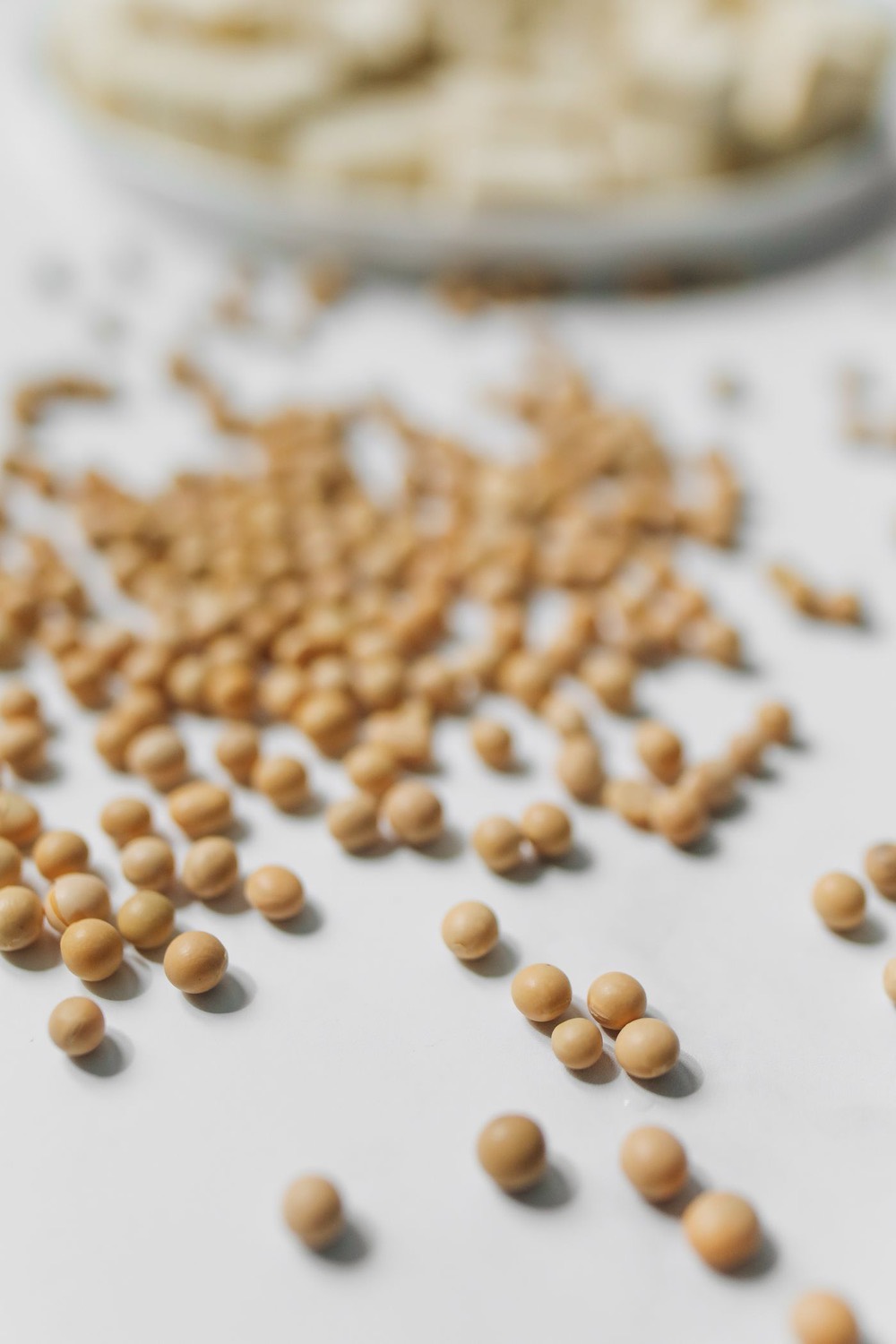 Soybeans, the source of soy isoflavone